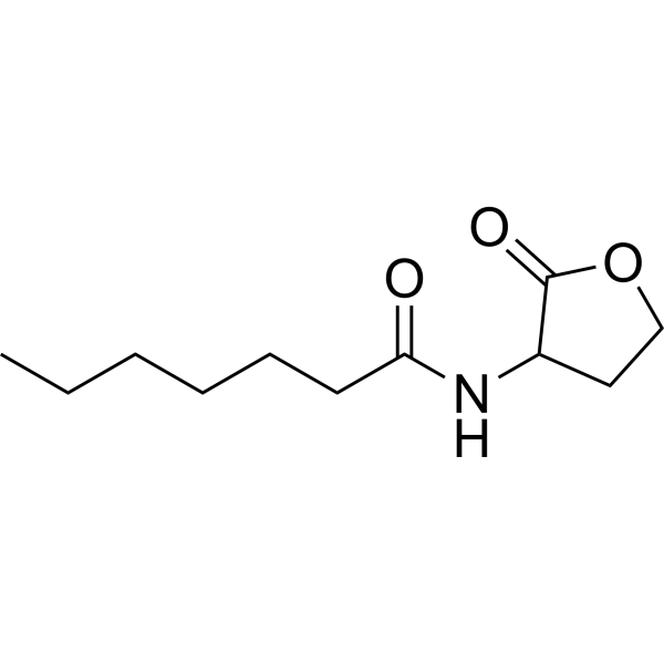 N-Heptanoyl-DL-homoserine lactone 106983-26-0